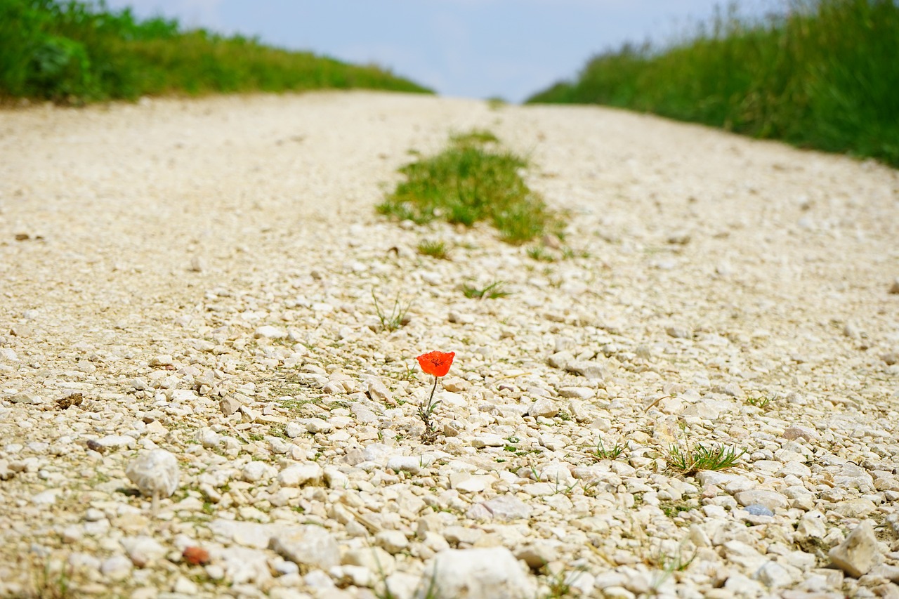 How to Build a DIY Garden Path with Gravel